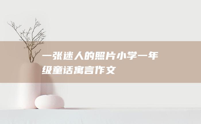 一张迷人的照片 小学一年级童话寓言作文
