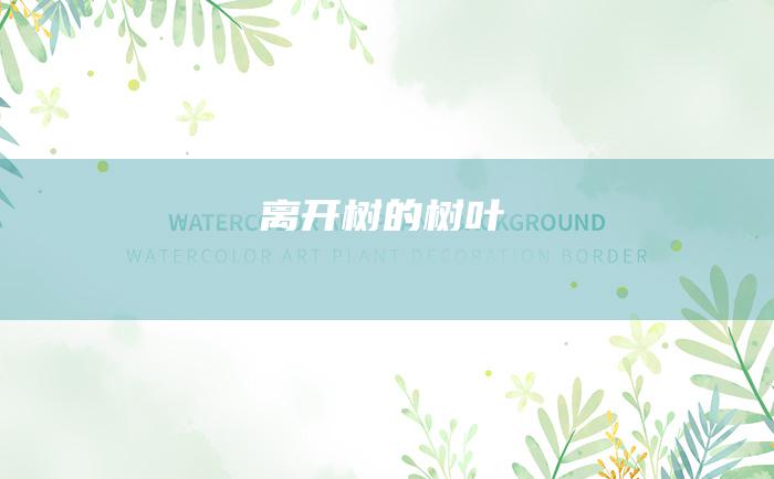 离开树的树叶