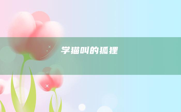 学猫叫的狐狸