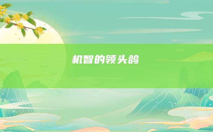 机智的领头鸽