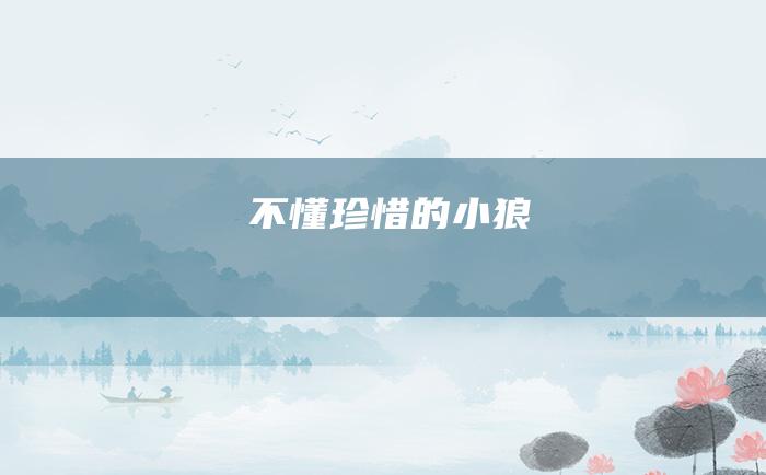 不懂珍惜的小狼