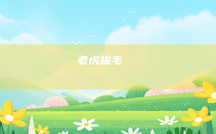 老虎拔毛