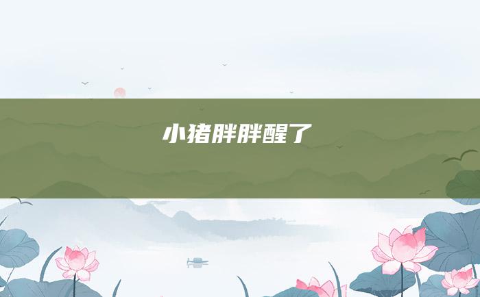 小猪胖胖醒了