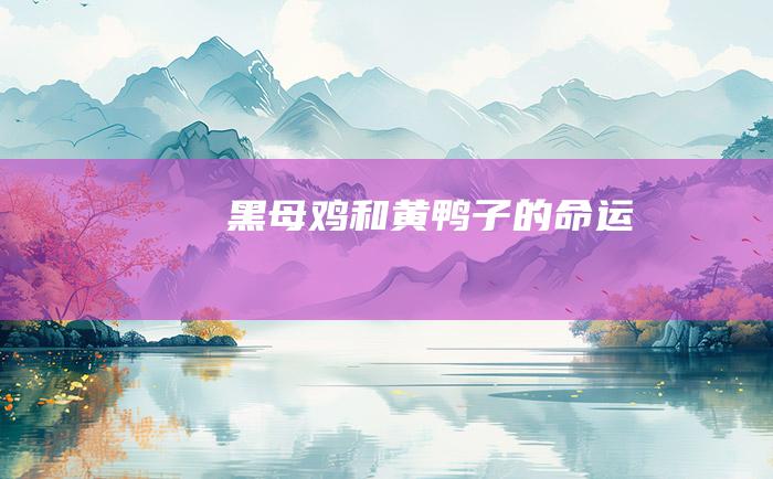 黑母鸡和黄鸭子的命运