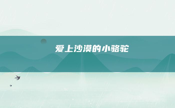 爱上沙漠的小骆驼