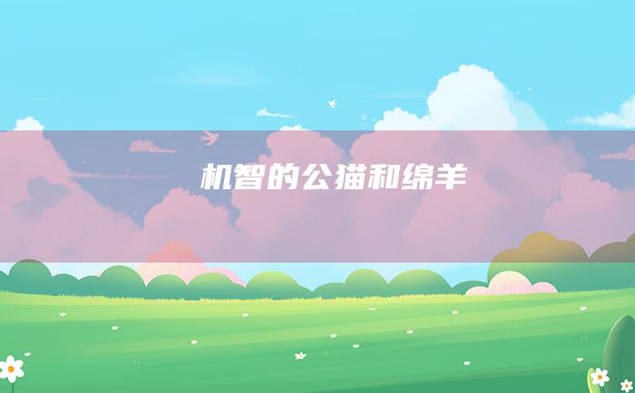 机智的公猫和绵羊