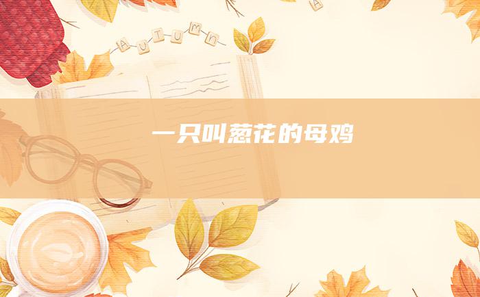 一只叫葱花的母鸡