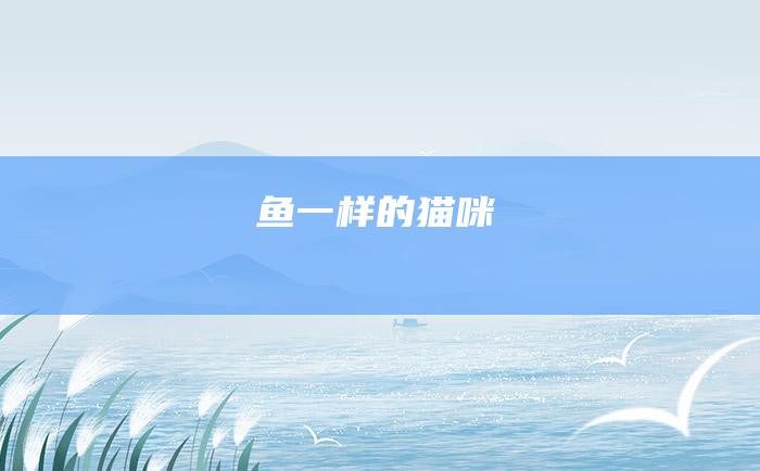 鱼一样的猫咪