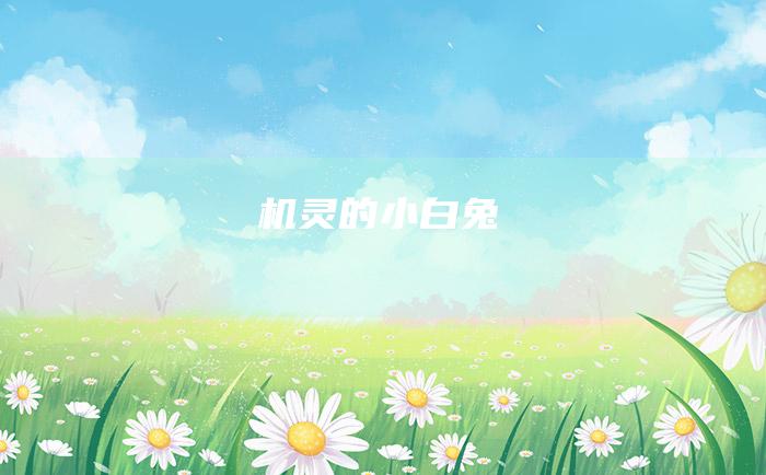 机灵的小白兔