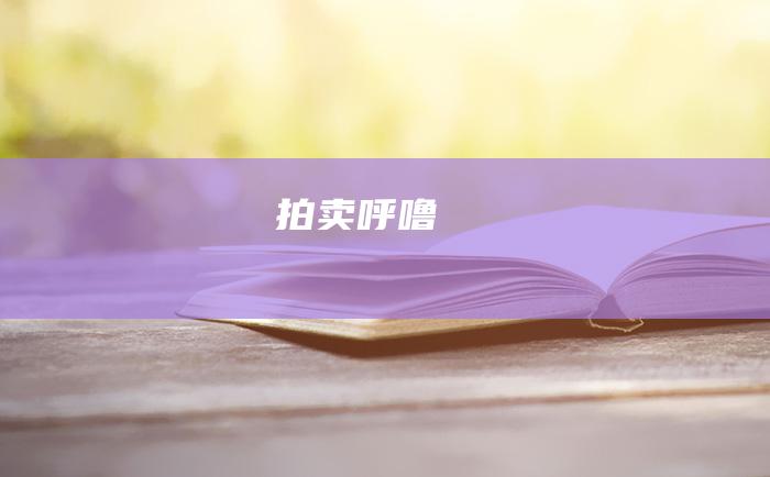 拍卖呼噜