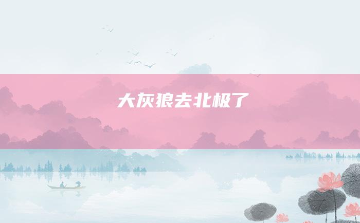 大灰狼去北极了