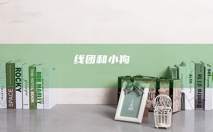 线团和小狗
