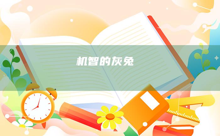 机智的灰兔