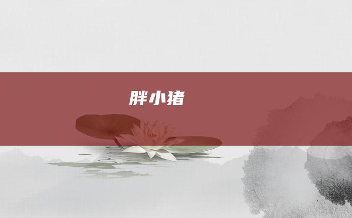 胖小猪
