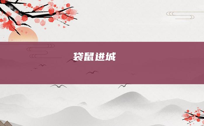 袋鼠进城