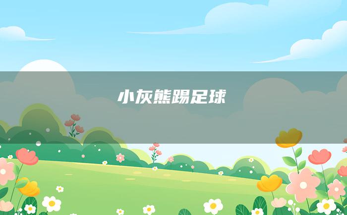 小灰熊踢足球