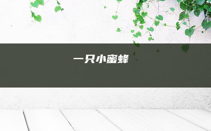一只小蜜蜂