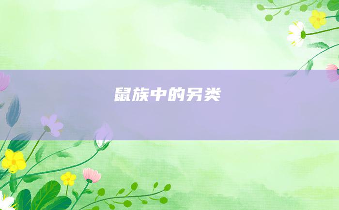 鼠族中的另类