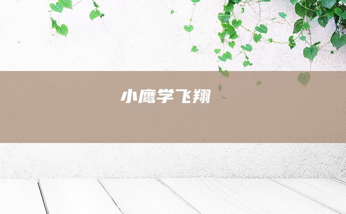 小鹰学飞翔
