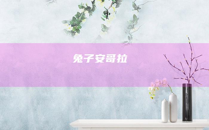 兔子安哥拉