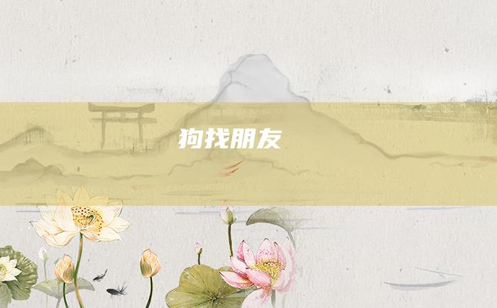 狗找朋友