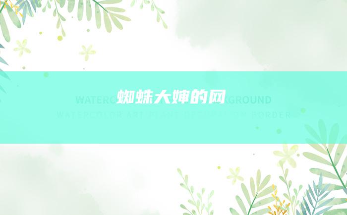 蜘蛛大婶的网