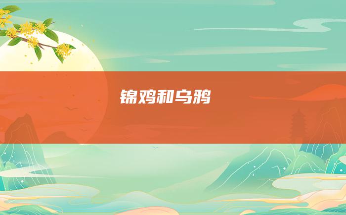 锦鸡和乌鸦