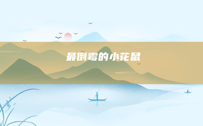 最倒霉的小花鼠
