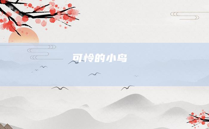 可怜的小鸟