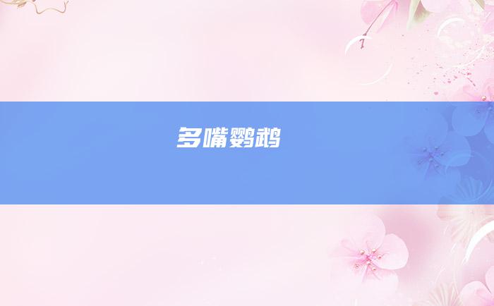多嘴鹦鹉