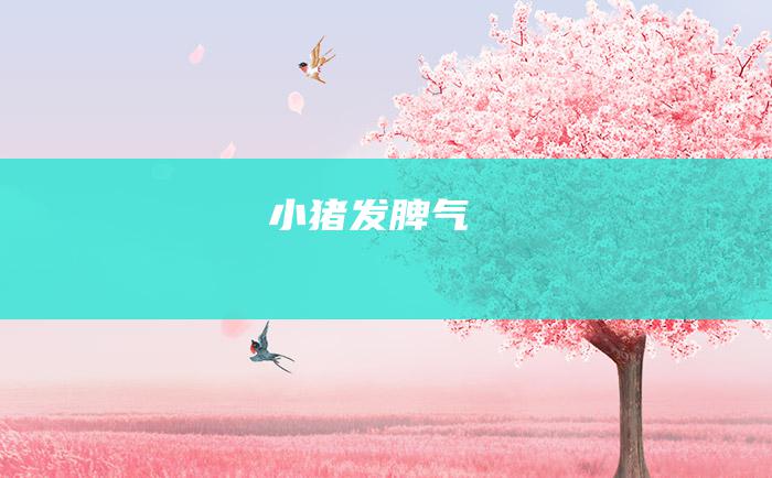 小猪发脾气