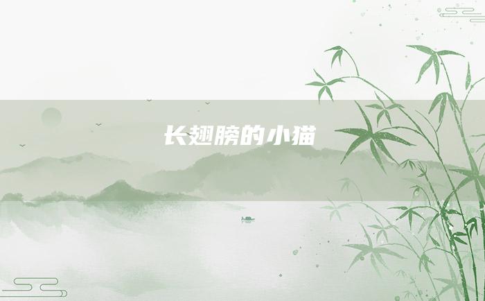 长翅膀的小猫