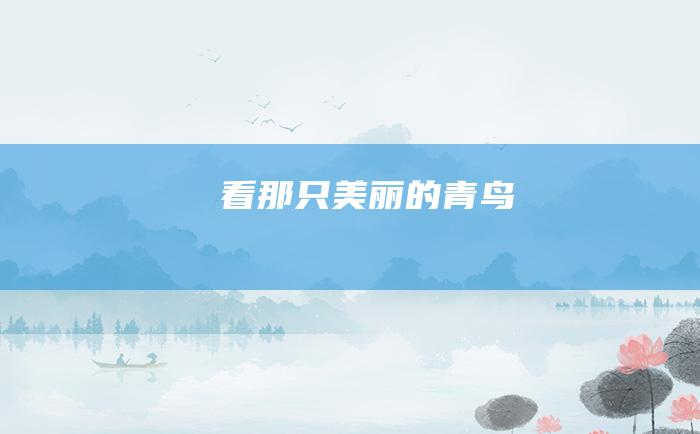 看 那只美丽的青鸟