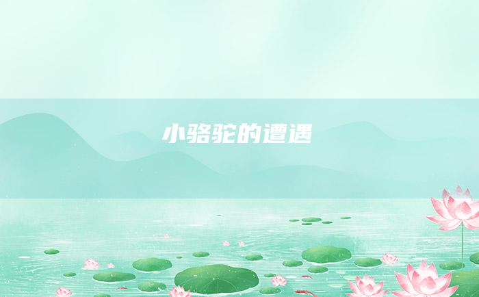 小骆驼的遭遇