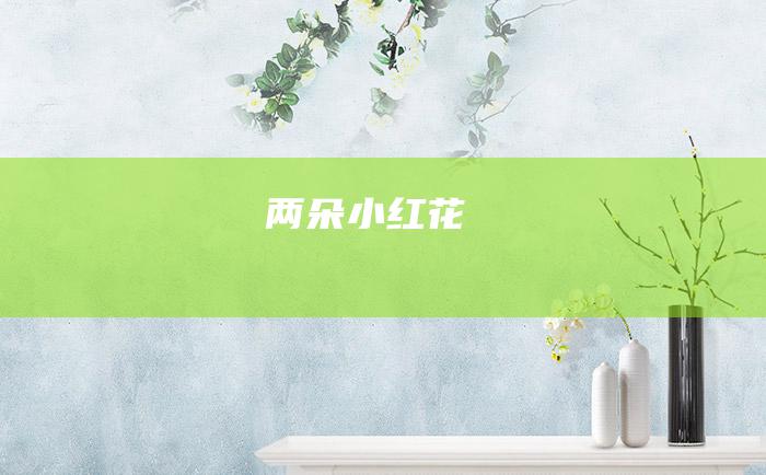 两朵小红花