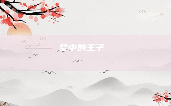 梦中的王子