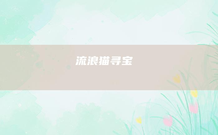 流浪猫寻宝