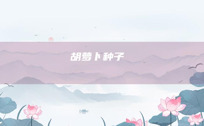 胡萝卜种子