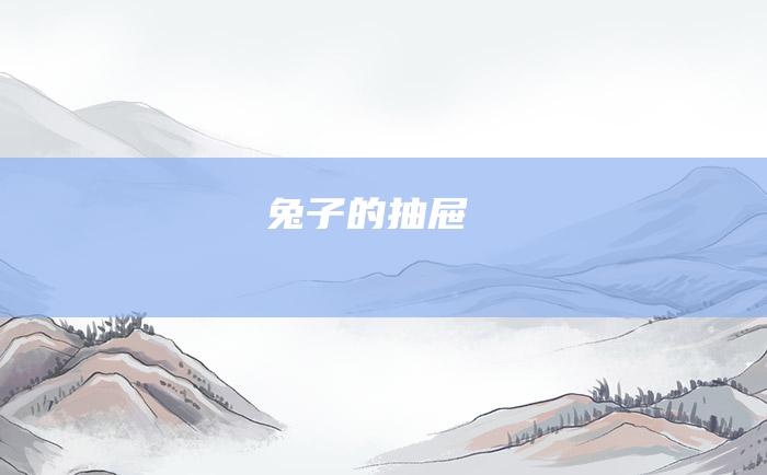 兔子的抽屉