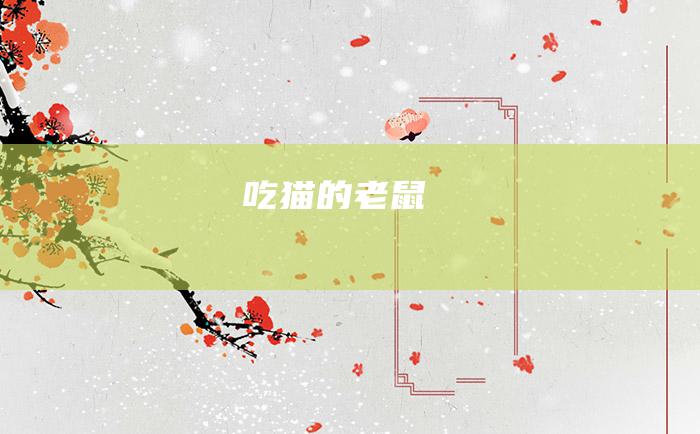 吃猫的老鼠