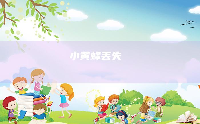 小黄蜂丢失