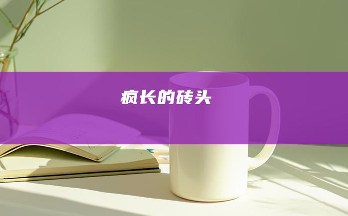 疯长的砖头