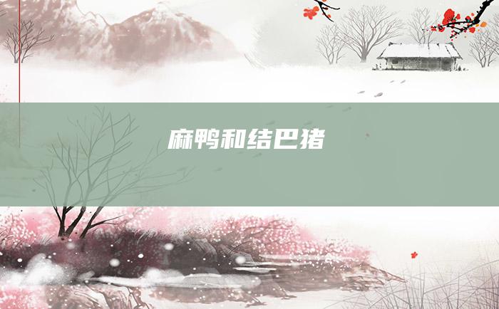 麻鸭和结巴猪
