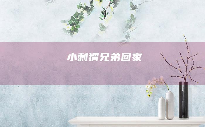 小刺猬兄弟回家