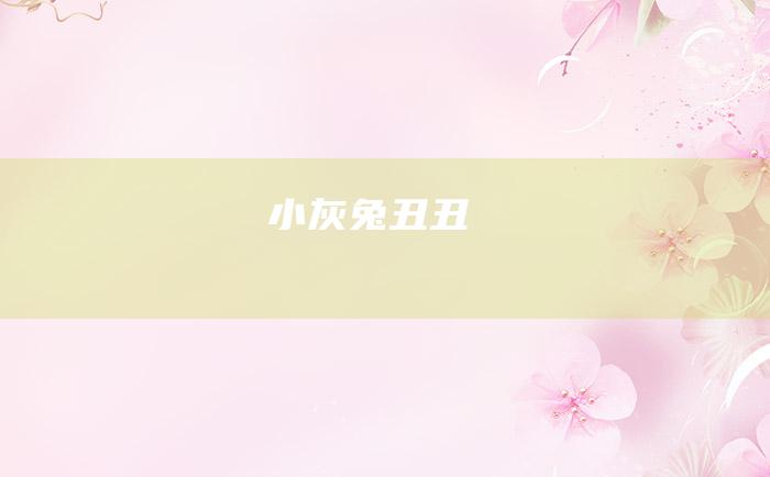小灰兔丑丑