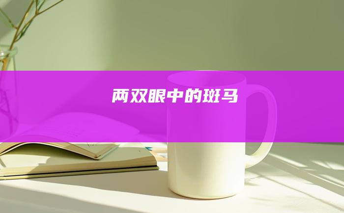 两双眼中的斑马