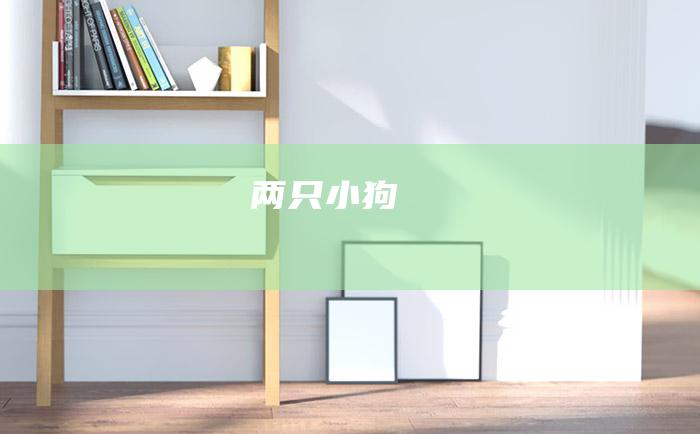 两只小狗