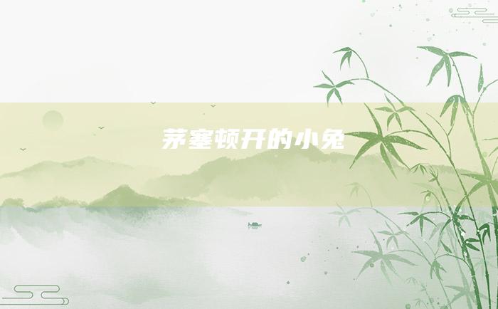 茅塞顿开的小兔