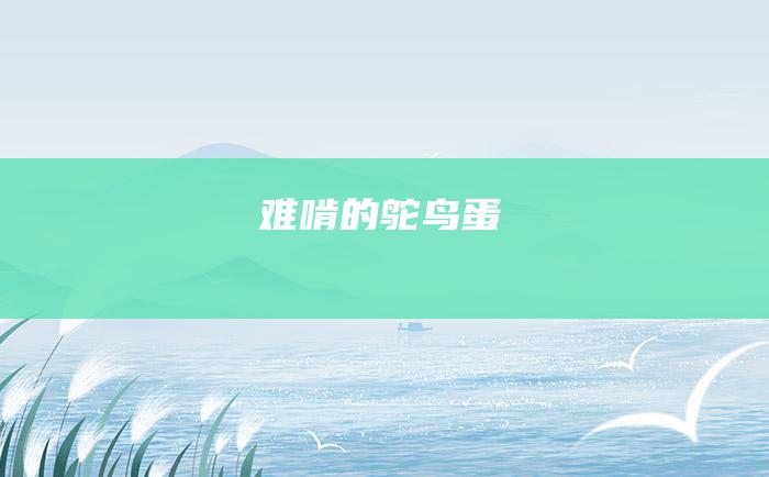 难啃的鸵鸟蛋
