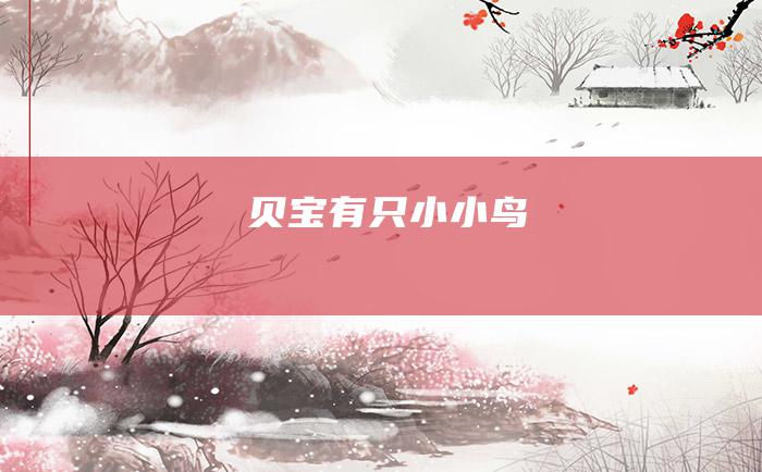 贝宝有只小小鸟